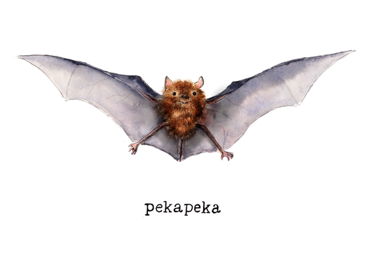 Painting NZ’s Cutest Native Animal