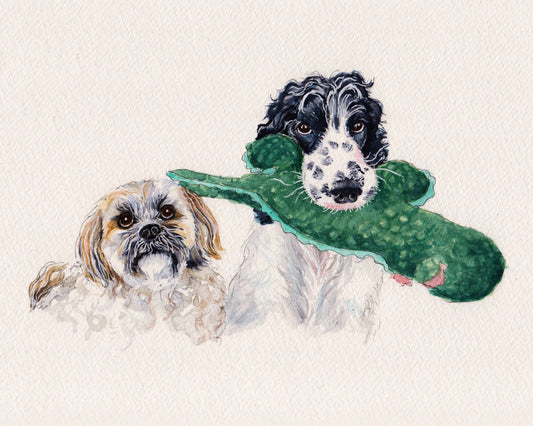 Pet Portraits in NZ