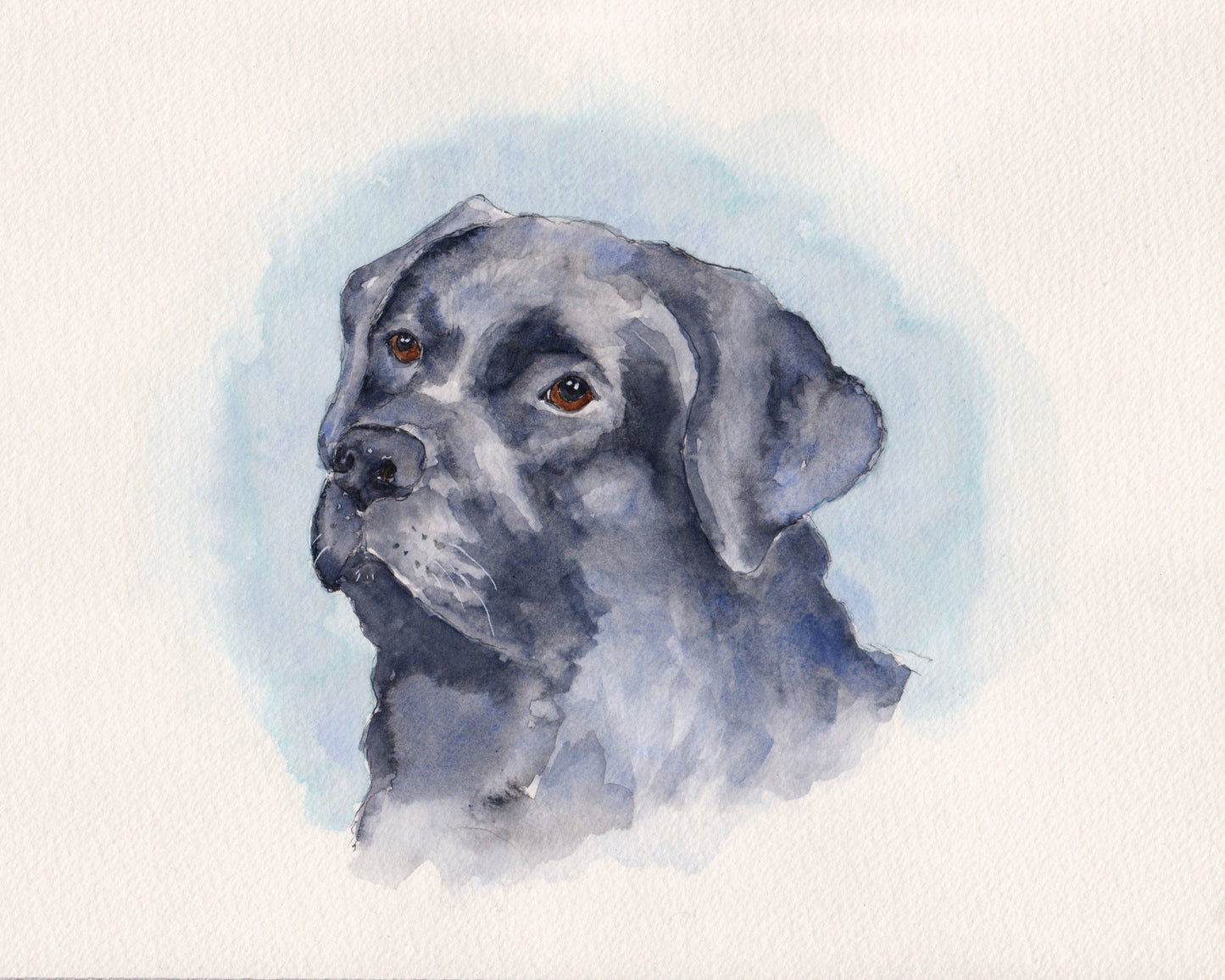 Pet Portrait Gift Voucher