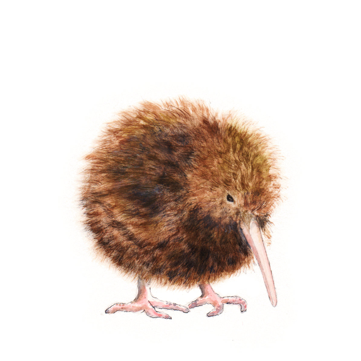'Kiwi' Original Art