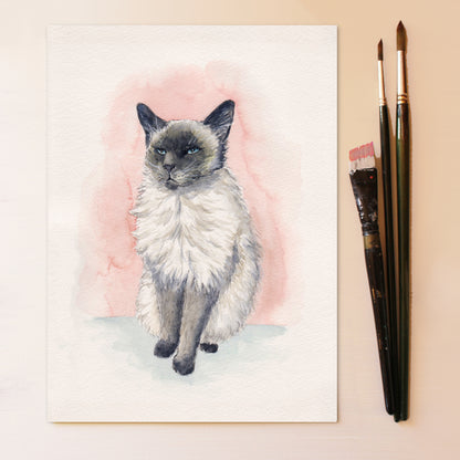 Standard Pet Portrait