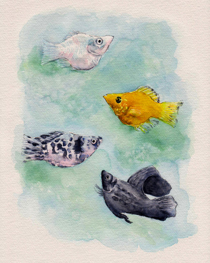 Standard Pet Portrait