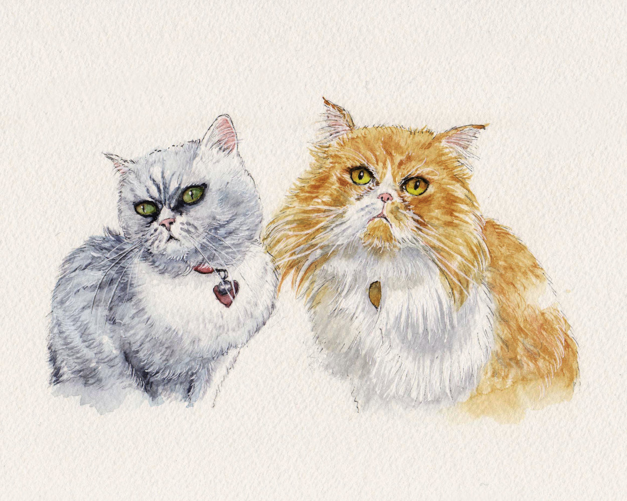 Standard Pet Portrait