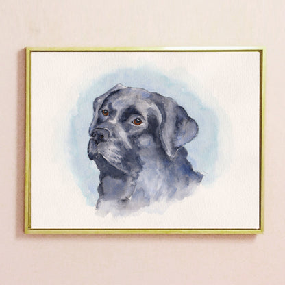 Large Pet Portrait