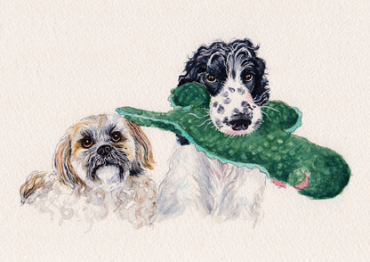 Standard Pet Portrait