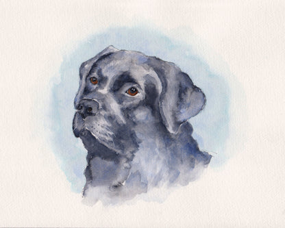 Pet Portrait Gift Voucher