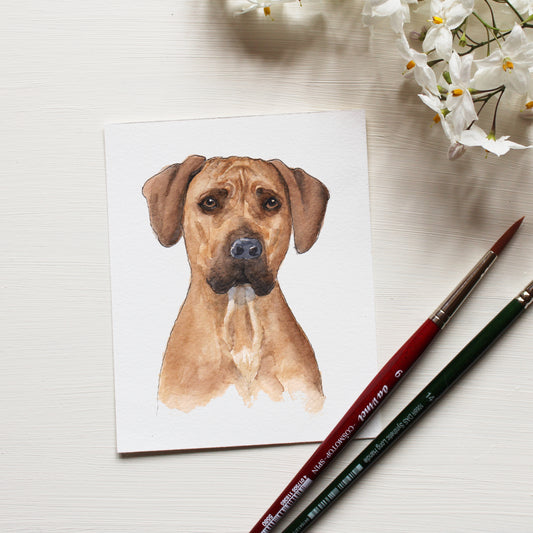 Tiny Pet Portrait