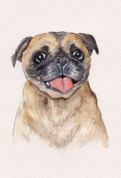 Tiny Pet Portrait